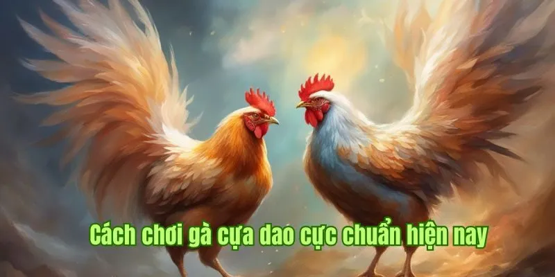 Cách chơi gà cựa dao cực chuẩn hiện nay