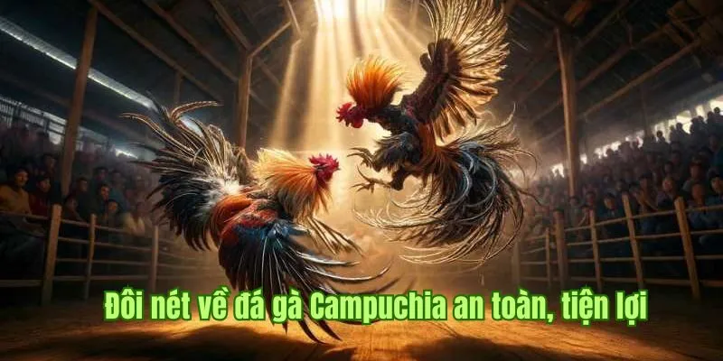 Đôi nét về đá gà Campuchia an toàn, tiện lợi 